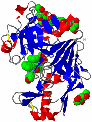 Image Asymmetric Unit