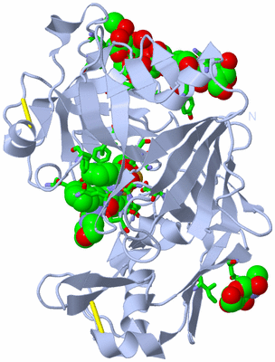 Image Biol. Unit 1 - sites