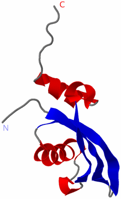 Image NMR Structure - model 1