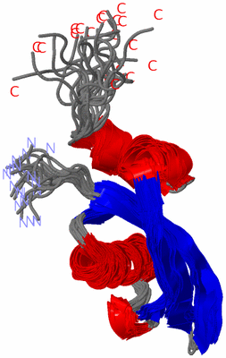 Image NMR Structure - all models