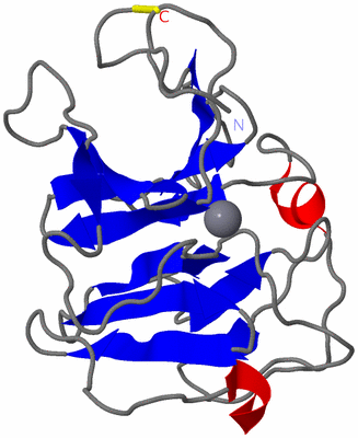 Image NMR Structure - model 1