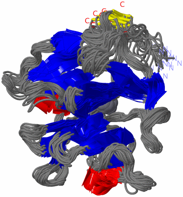 Image NMR Structure - all models