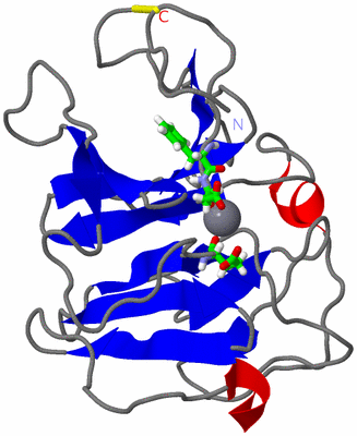 Image NMR Structure - model 1, sites