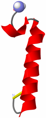 Image NMR Structure - model 1