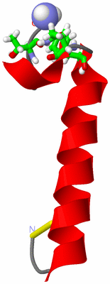 Image NMR Structure - model 1, sites