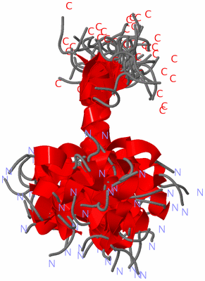 Image NMR Structure - all models