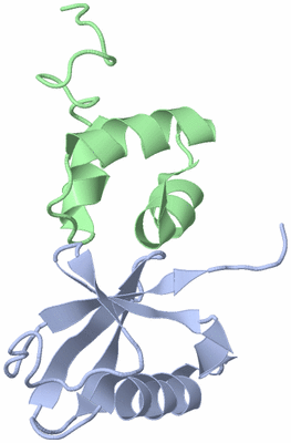 Image NMR Structure - model 1