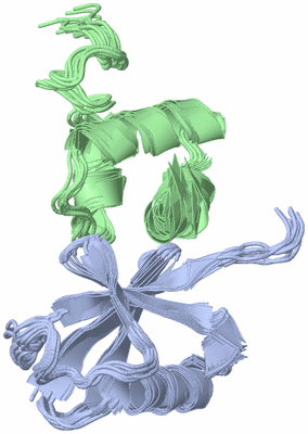 Image NMR Structure - all models