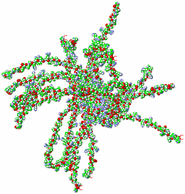 Image NMR Structure - all models