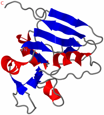 Image NMR Structure - model 1