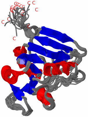 Image NMR Structure - all models