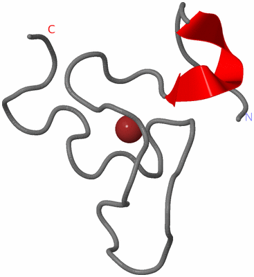 Image NMR Structure - model 1