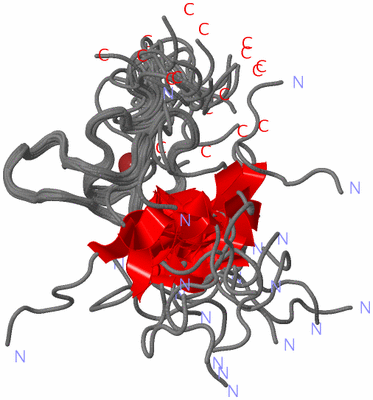 Image NMR Structure - all models