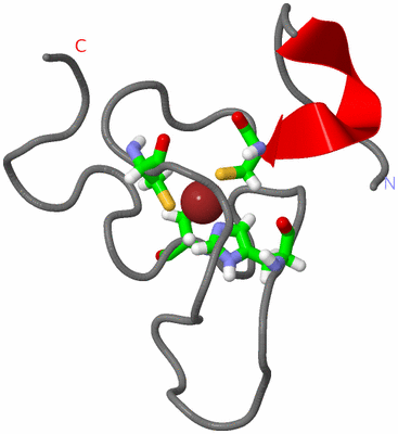 Image NMR Structure - model 1, sites