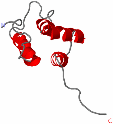 Image NMR Structure - model 1