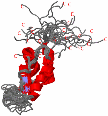 Image NMR Structure - all models