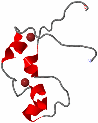 Image NMR Structure - model 1