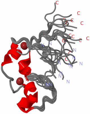 Image NMR Structure - all models