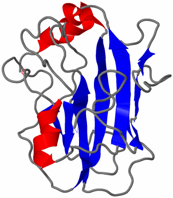 Image NMR Structure - model 1