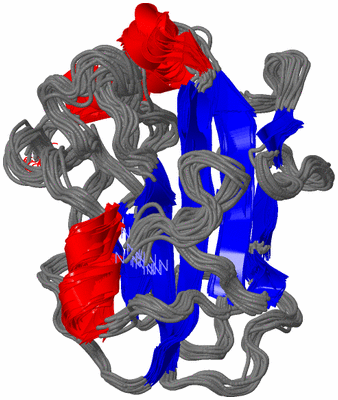 Image NMR Structure - all models