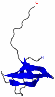 Image NMR Structure - model 1