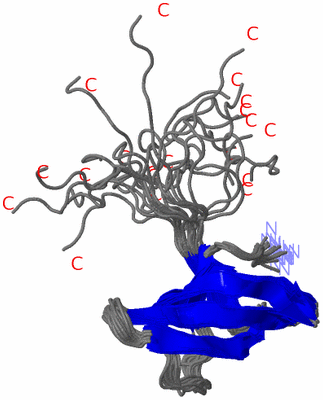 Image NMR Structure - all models