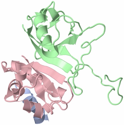 Image NMR Structure - model 1