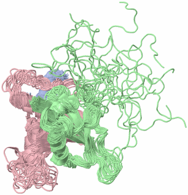 Image NMR Structure - all models