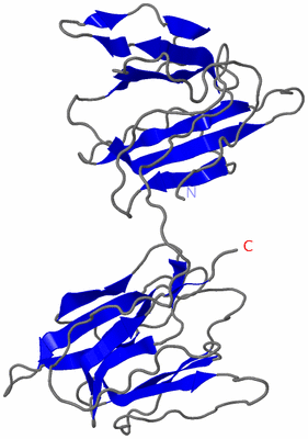 Image NMR Structure - model 1