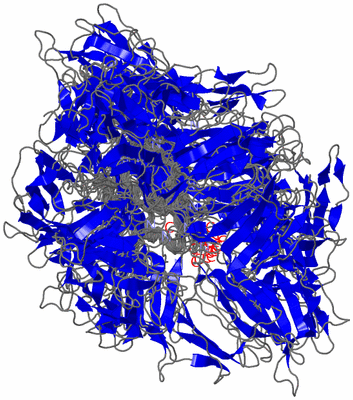 Image NMR Structure - all models