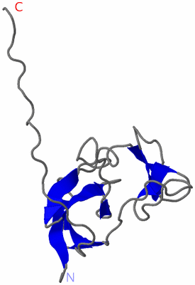 Image NMR Structure - model 1