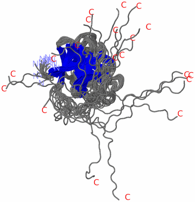 Image NMR Structure - all models