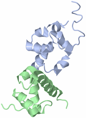 Image NMR Structure - model 1