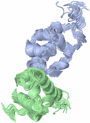 Image NMR Structure - all models