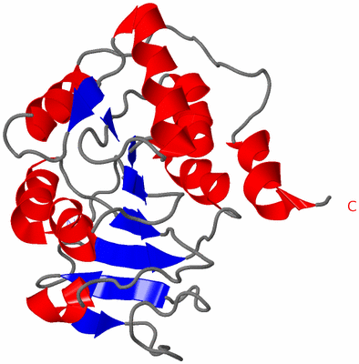 Image NMR Structure - model 1