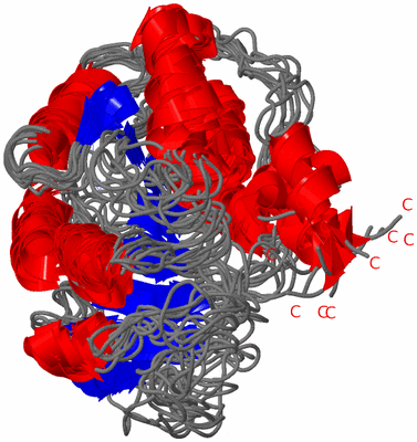 Image NMR Structure - all models