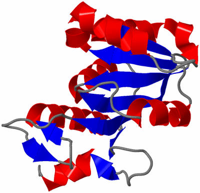 Image NMR Structure - model 1