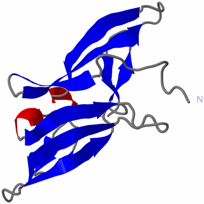 Image NMR Structure - model 1