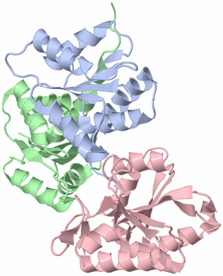 Image NMR Structure - model 1