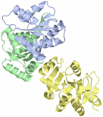 Image NMR Structure - model 1