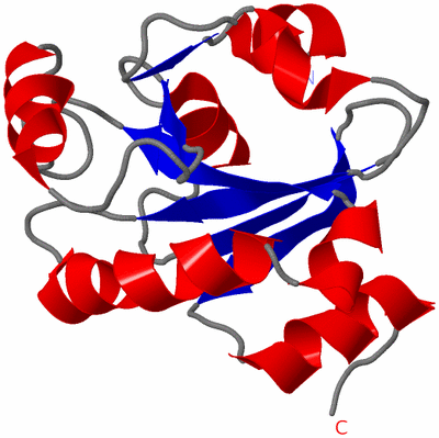 Image NMR Structure - model 1