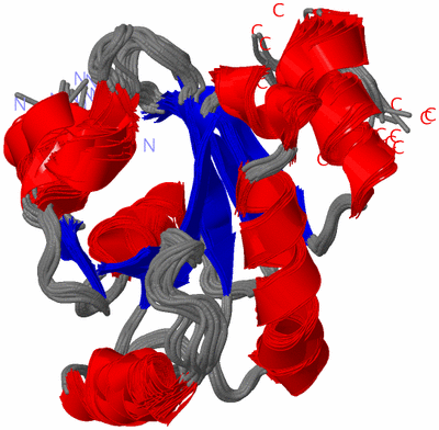 Image NMR Structure - all models