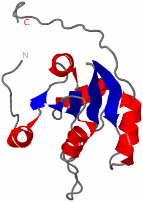 Image NMR Structure - model 1