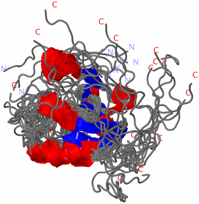 Image NMR Structure - all models