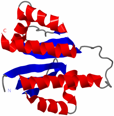 Image NMR Structure - model 1