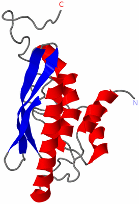 Image NMR Structure - model 1