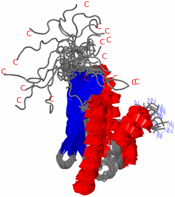 Image NMR Structure - all models
