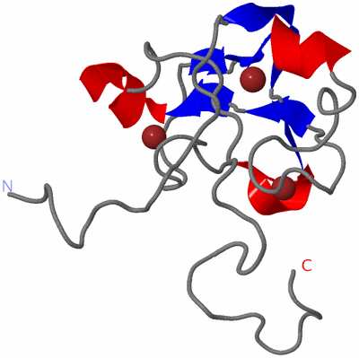 Image NMR Structure - model 1