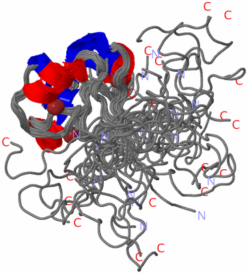 Image NMR Structure - all models