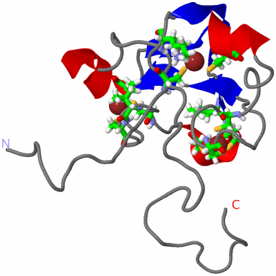 Image NMR Structure - model 1, sites